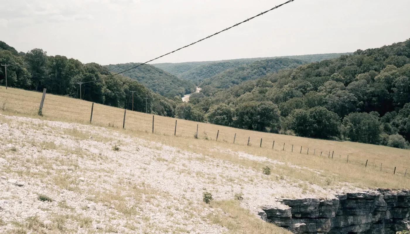 Ozark pasture with pale chert gravel and exposed grey limestone showing through thin grass above wooded hills